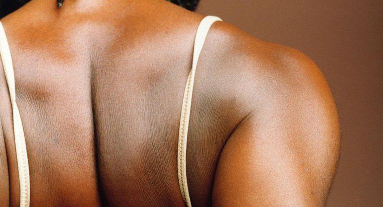 O que causa dor nas costas ao longo da omoplata?