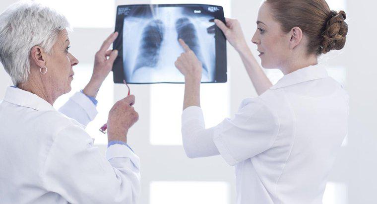 O que os pulmões fazem no sistema respiratório?