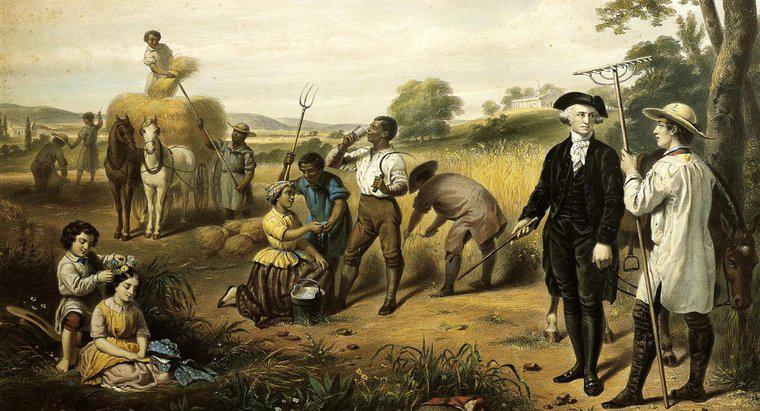 Em que os abolicionistas acreditavam?