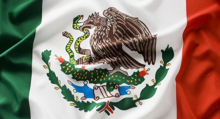 Que tipo de águia está na bandeira mexicana?
