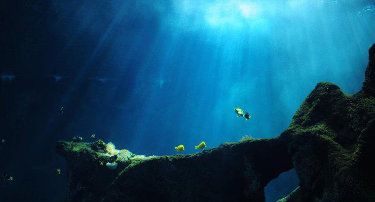 O que acontece nas fossas oceânicas profundas?