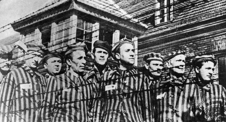 O Holocausto poderia ter sido evitado?