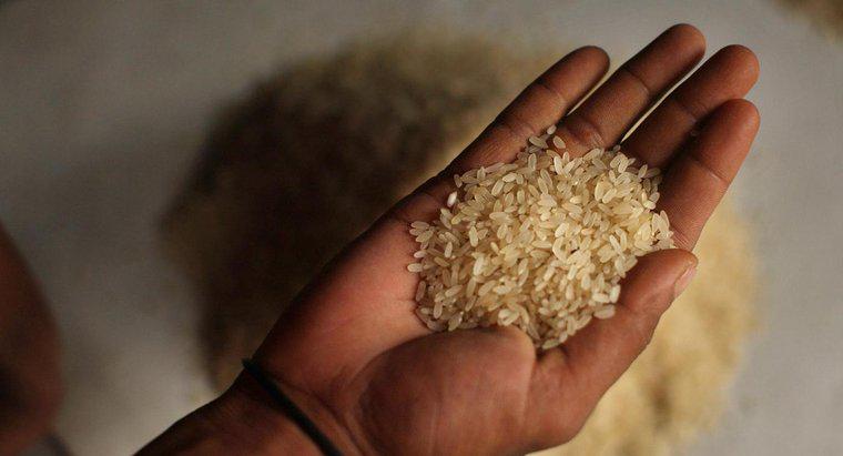 Quanto pesa um único grão de arroz?