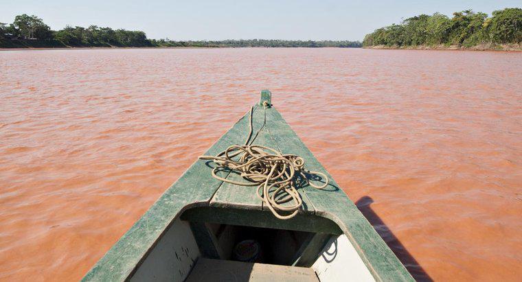 Onde fica a foz do rio Amazonas?