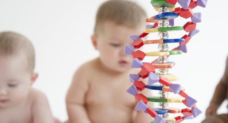 As doenças genéticas podem ignorar gerações?