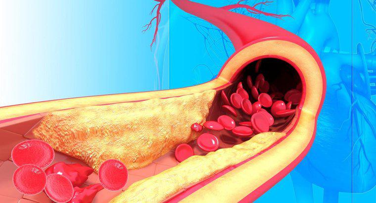 Qual é a estrutura das artérias?