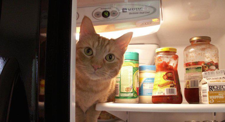 Deixar a porta de uma geladeira aberta aumenta o custo da conta de luz?