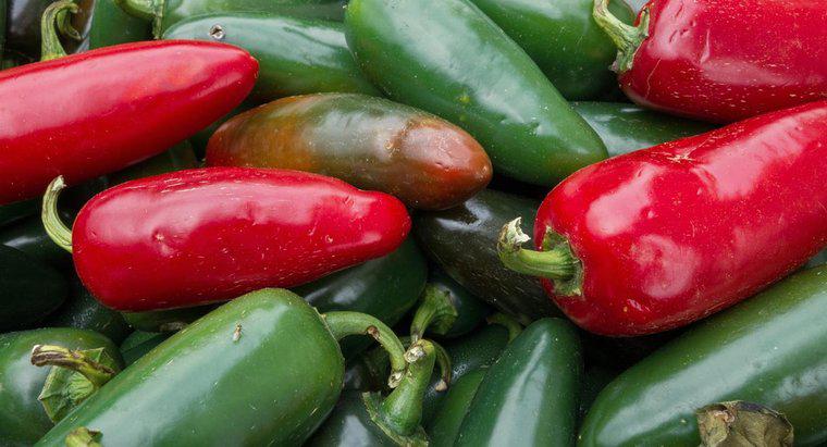 Como você armazena pimentas Jalapeno frescas?