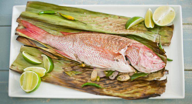 Como tornar o sabor do peixe menos duvidoso?