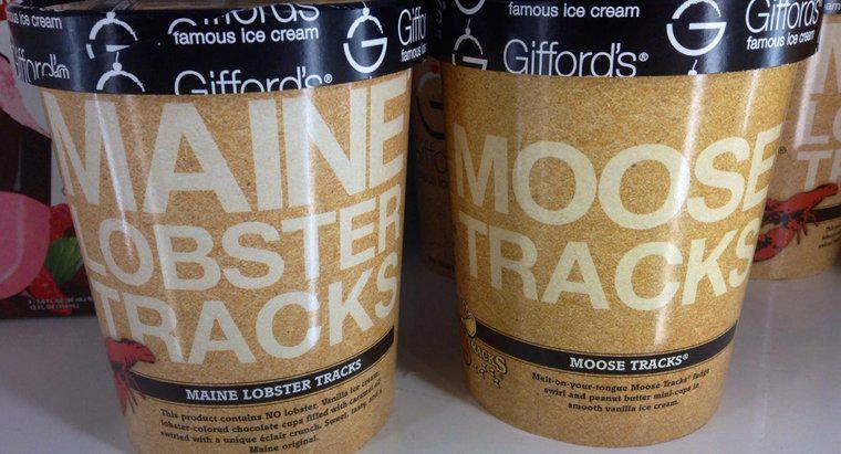 O que é o sorvete Moose Tracks?