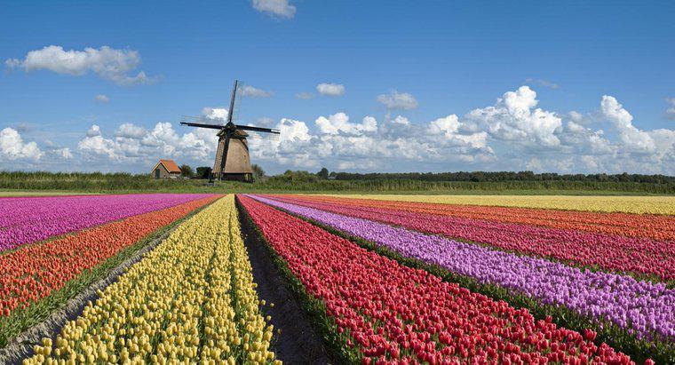 Qual é a famosa Holanda?