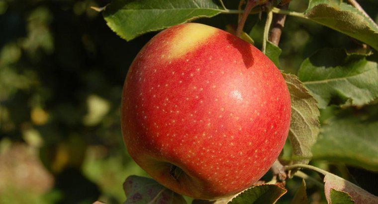 Quanto pesa uma maçã?