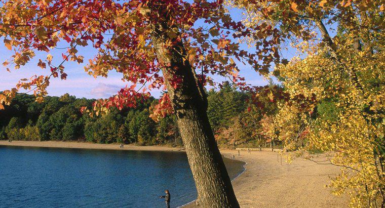 Por que Thoreau deixou o lago Walden?