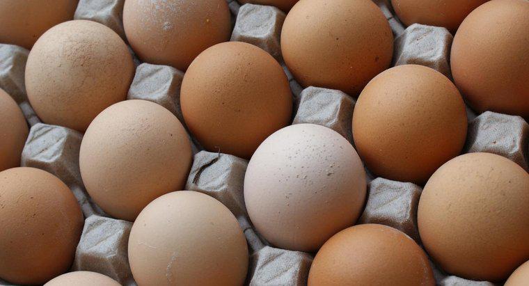 Qual é o valor nutricional de um ovo?