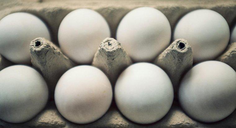 Quantas calorias tem um ovo?