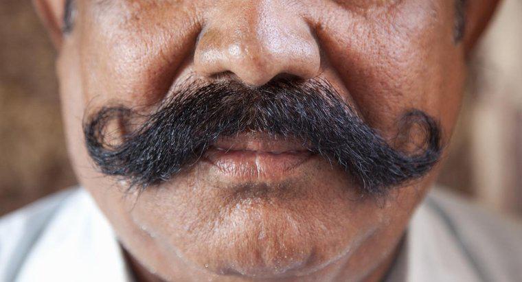 Quanto tempo leva para crescer um bigode?