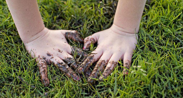Quantos germes existem na mão humana?