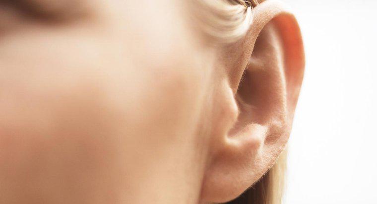 Quais são os remédios caseiros para a remoção segura da cera do ouvido?