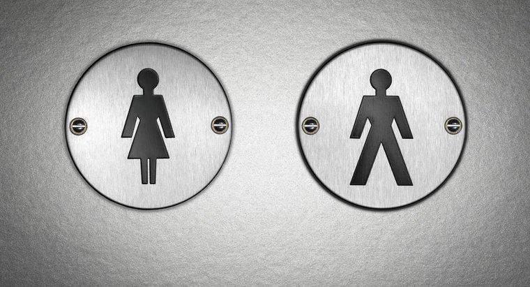 Você pode dizer a diferença entre a urina masculina e feminina?