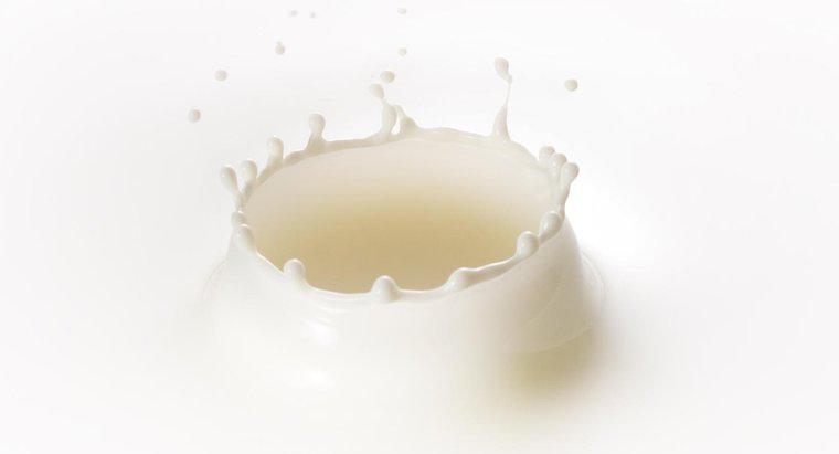 O que é um bom substituto para o leite desnatado?
