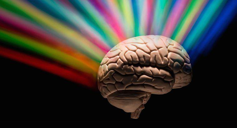 Quanto do cérebro as pessoas usam?