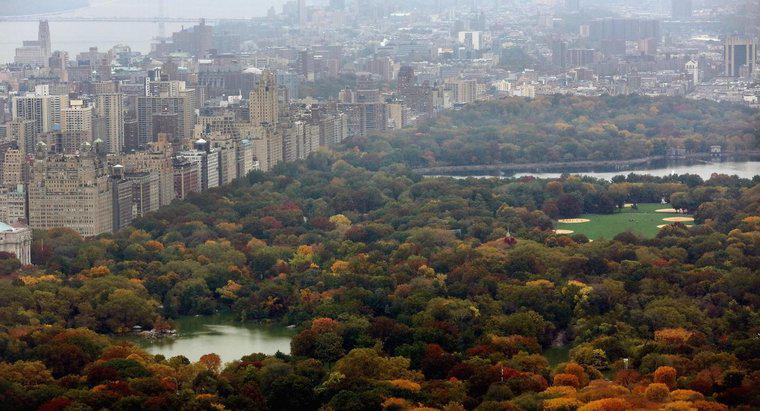 Qual é o tamanho do Central Park em Nova York?