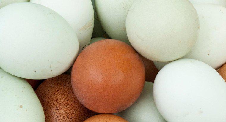 Qual é a superstição sobre como encontrar um ovo sangrento?