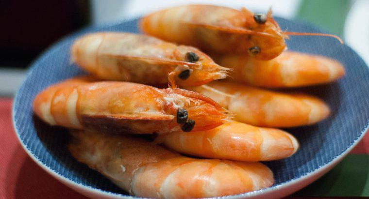 Por quanto tempo o camarão cozido é seguro para comer?
