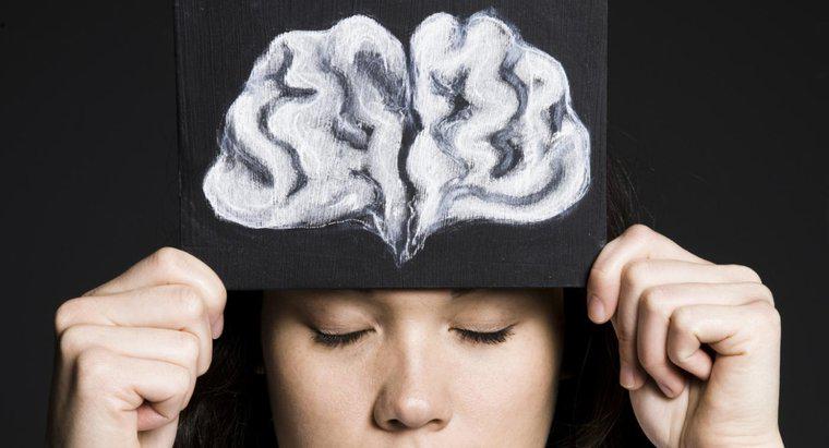 Qual é a função do lobo frontal do cérebro?