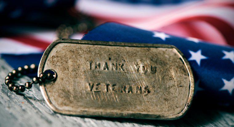 Holidays 101: Por que comemoramos o Dia dos Veteranos?