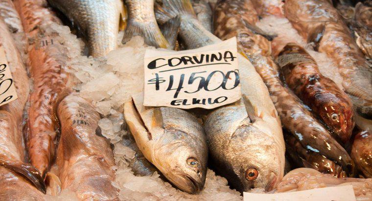 Como você cozinha peixes Corvina?