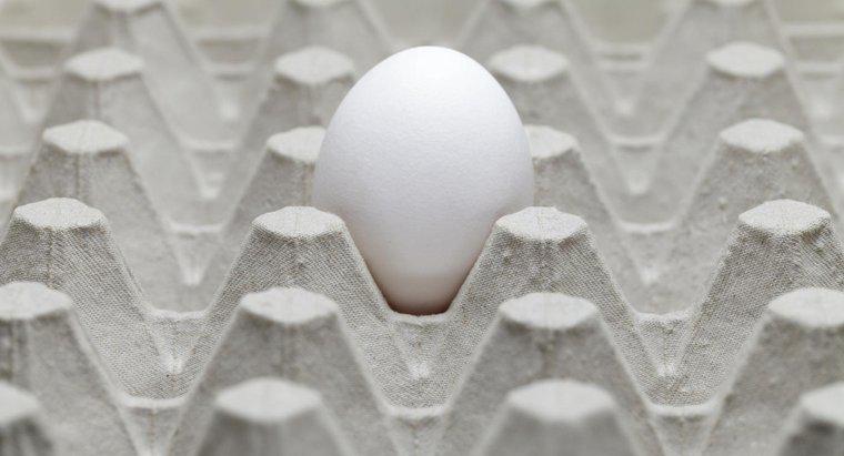 O que causa um cheiro de ovo podre em uma casa?
