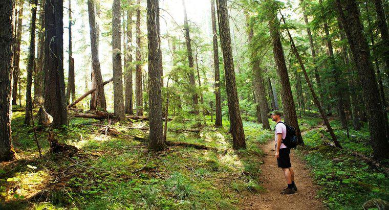 Quanto tempo leva para caminhar pela trilha Pacific Crest Trail?