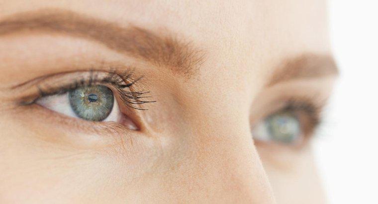 Quais são as funções principais do olho?