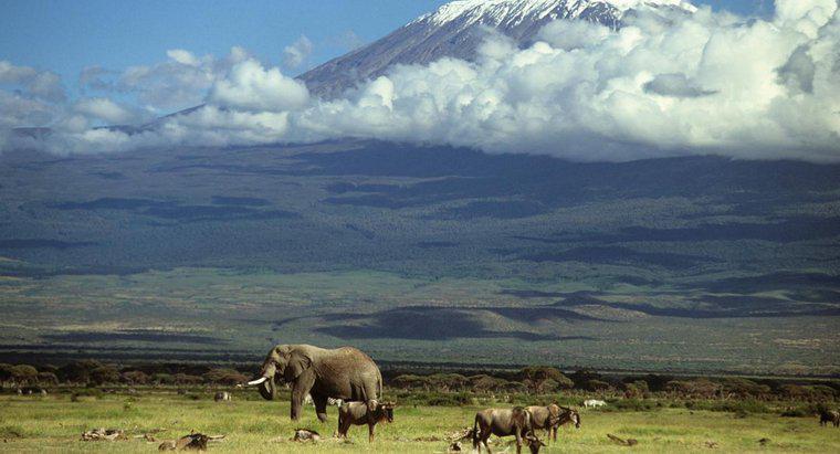 Como o Monte Kilimanjaro foi formado?