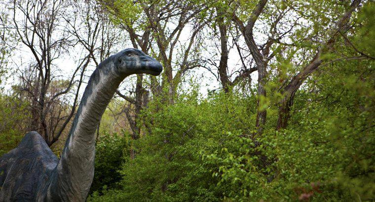 Por que o nome do brontossauro foi alterado para apatossauro?