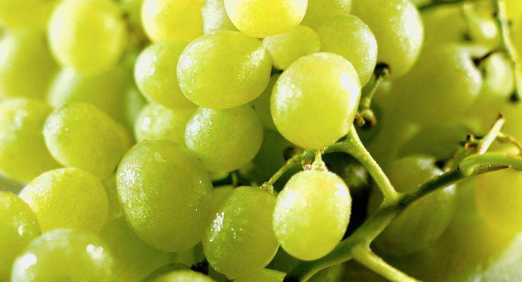As uvas são ácidas?