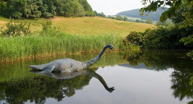 Onde vive o monstro de Loch Ness?