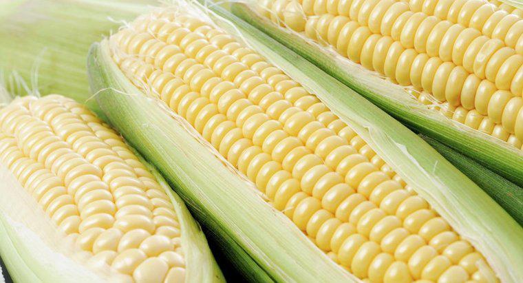 O milho é considerado um vegetal?