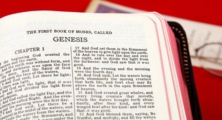 Quais são os primeiros cinco livros da Bíblia?