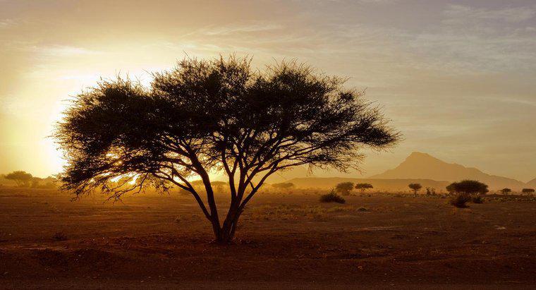 Que porcentagem da África é um deserto?
