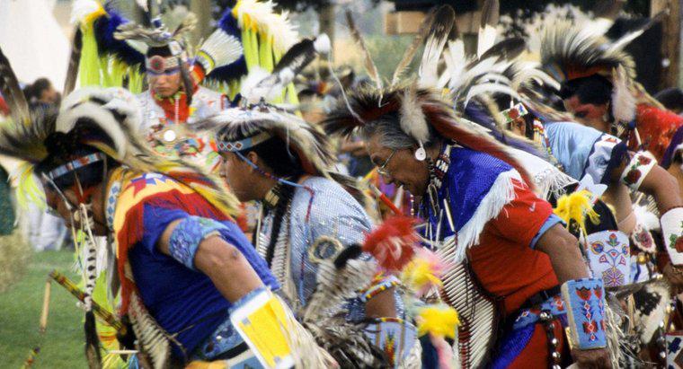 Quais são os objetivos do movimento indígena americano?