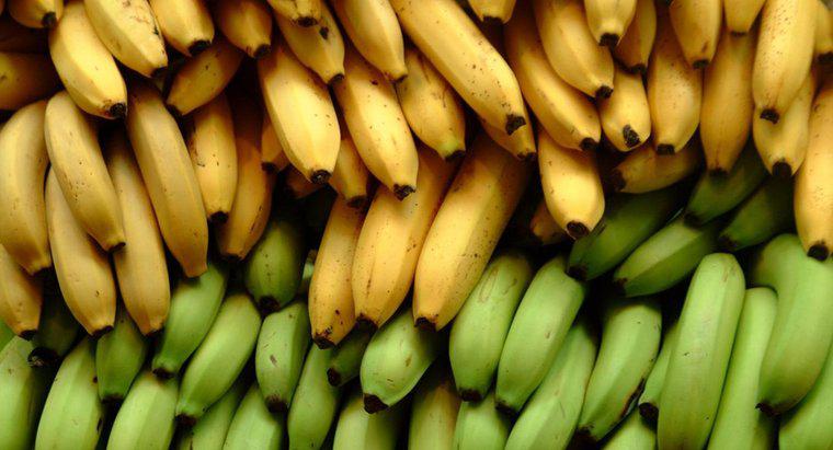 Bananas são boas para diabéticos?