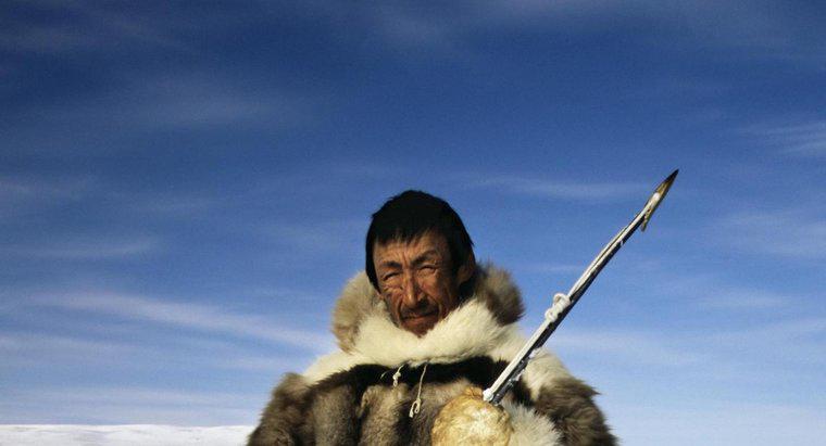 O que comem os Inuit?