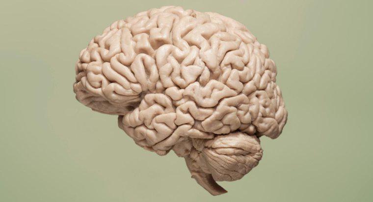 O que causa a falta de oxigênio no cérebro?