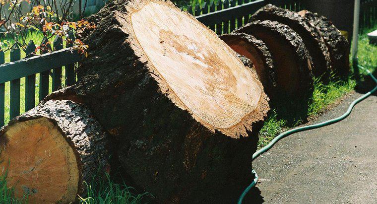 Para que é usada a madeira de lariço?