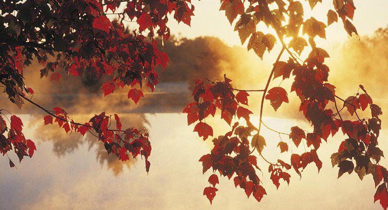 Que meses na América do Norte são considerados outono?