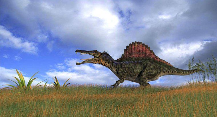 Qual foi o maior dinossauro carnívoro?