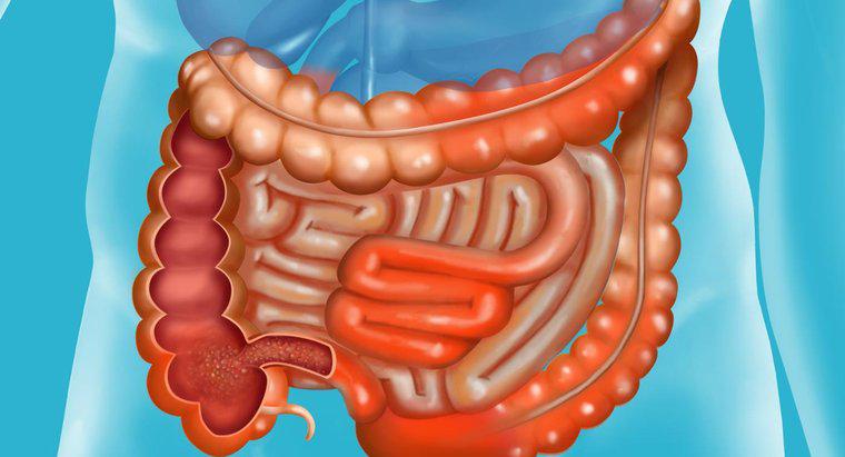 Qual é o prognóstico da doença de Crohn?