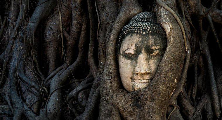 Qual é o significado do Buda que chora?